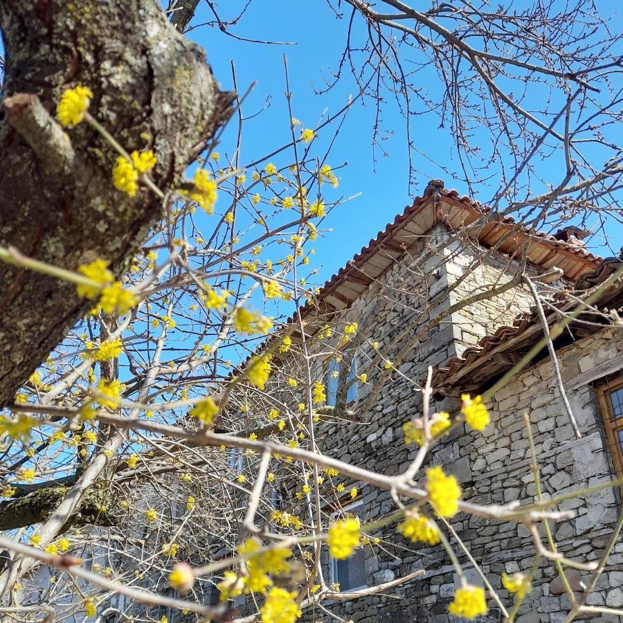 Hotel Bujtina Tusha Priska e Madhe Esterno foto