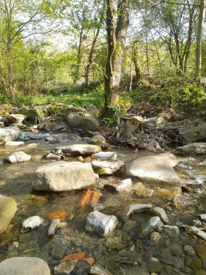 Hotel Bujtina Tusha Priska e Madhe Esterno foto