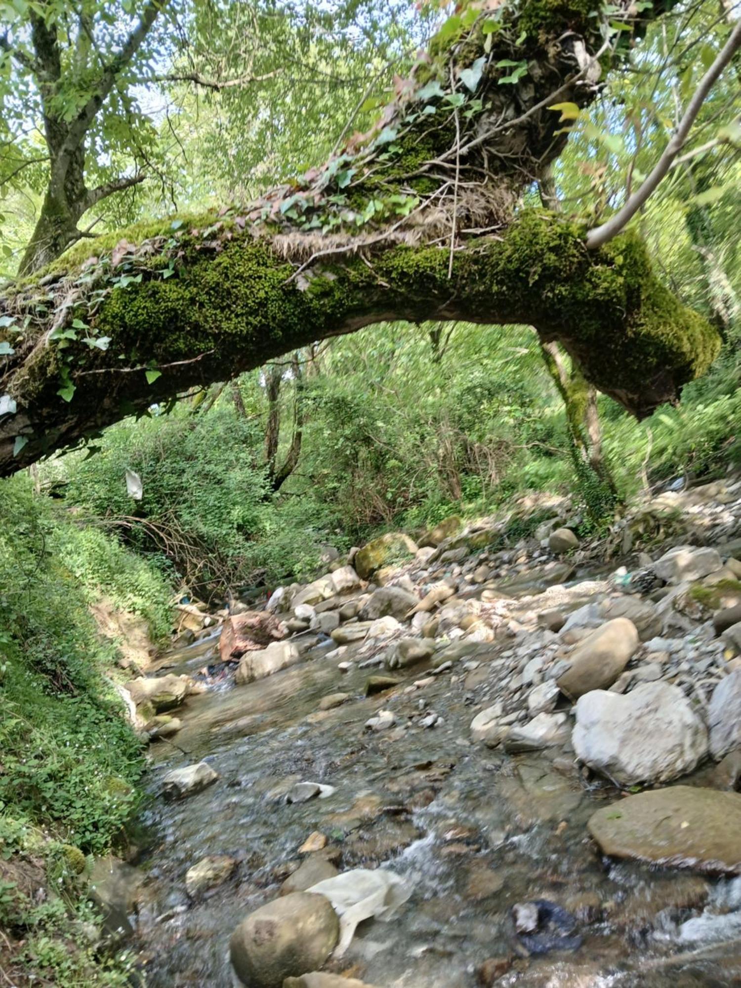 Hotel Bujtina Tusha Priska e Madhe Esterno foto
