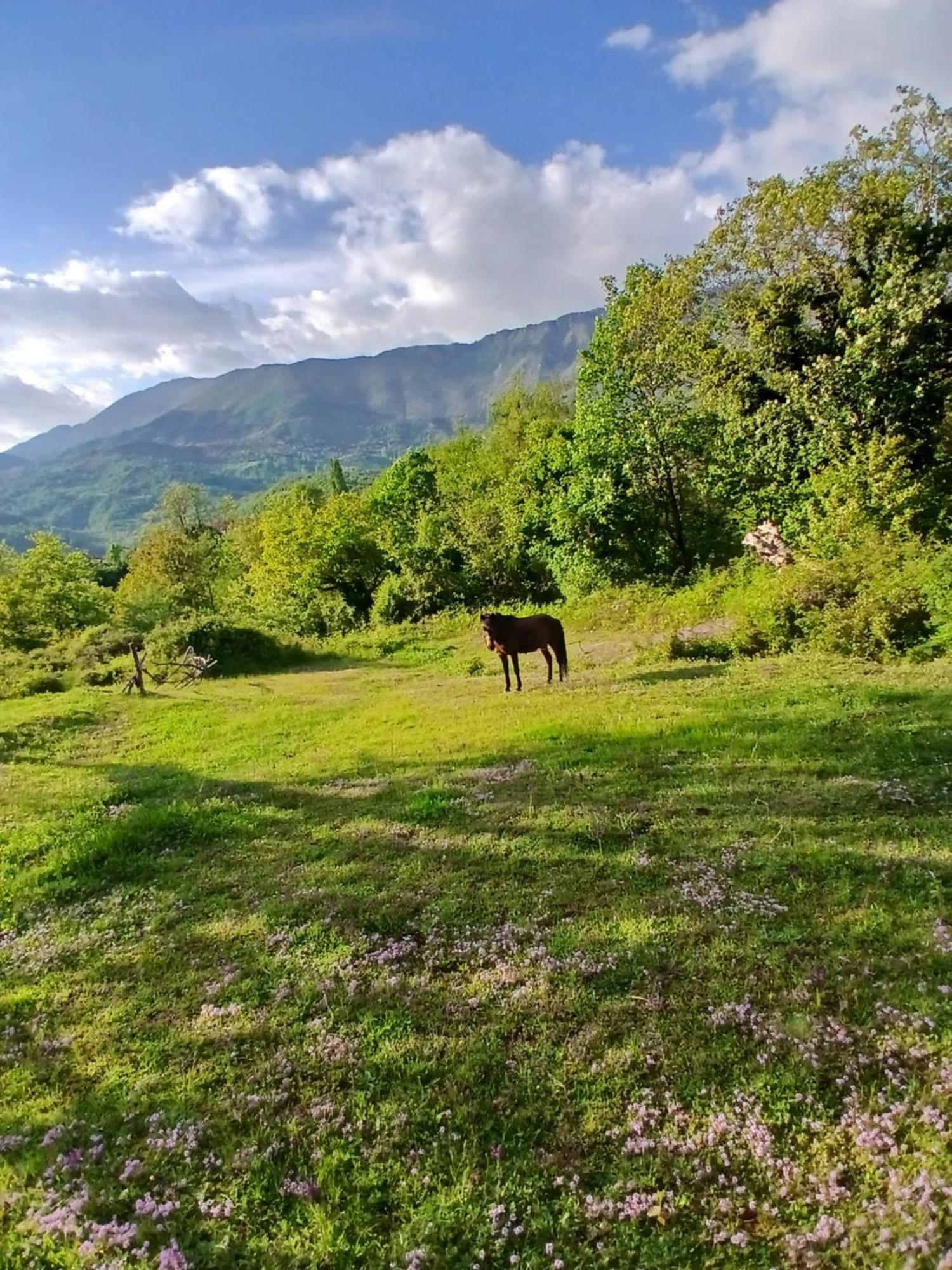 Hotel Bujtina Tusha Priska e Madhe Esterno foto