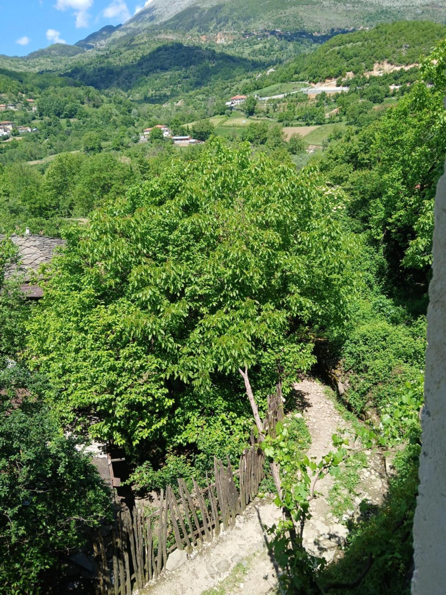 Hotel Bujtina Tusha Priska e Madhe Esterno foto