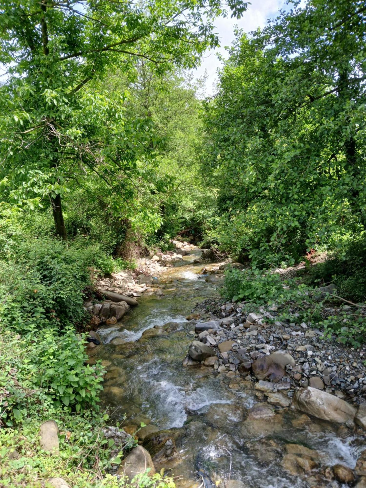 Hotel Bujtina Tusha Priska e Madhe Esterno foto